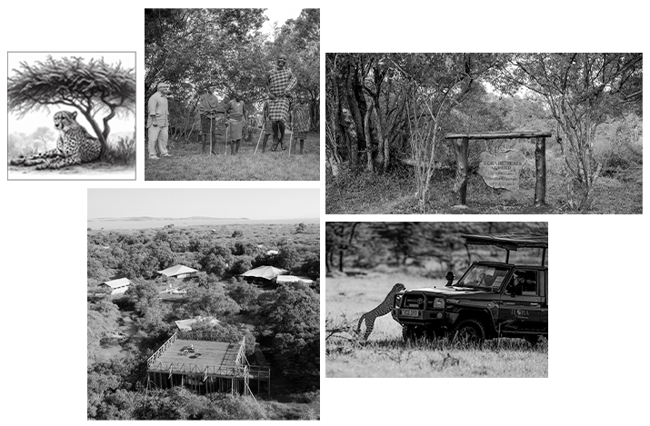 Safari Image